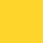 104 Yellow